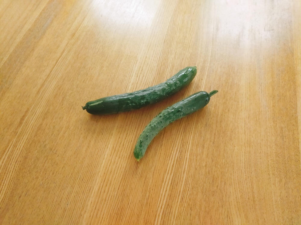 木製テーブル上にきゅうりが二本置かれている写真
